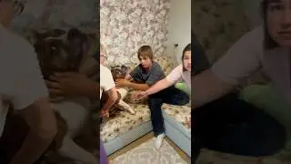 Наша собака не смогла родить сама..🫢🤰🐶