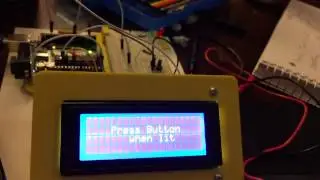 Reaction Time Video