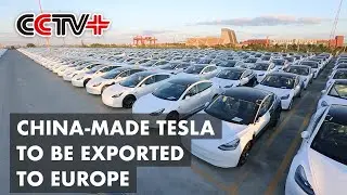 China-Made Tesla To Be Exported To Europe