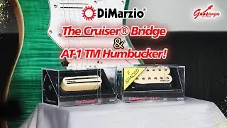 Sound Demo of Dimarzio AT Humbucker & The Cruiser (Andy Timmons Pickup Set)