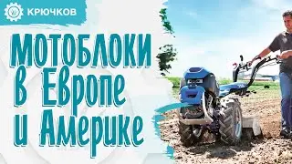 Мотоблок МЕЧТА? Самые популярные МОТОБЛОКИ в США и Европе | Дайджест