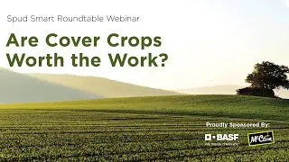 Are Cover Crops Worth the Work?