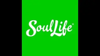 An Introduction To SoulLife