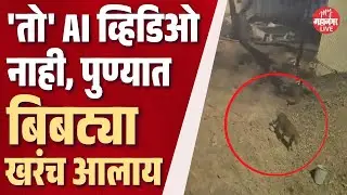 Pune: औंधमध्ये बिबट्याचा वावर, काय म्हणाले वनाधिकारी ? | Bibtya in Aundh