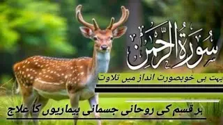 Surah Ar Rahman سورۃالرحمن Ep00507 Heart touching Recitation voice of sheikh Noman uddin