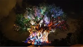Disney World | Animal Kingdom Night Time Show | Tree of Life Awakenings 4k HD | FL Attractions 360