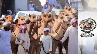 Oman's Flourishing Youth Consider the Future of Their Nation