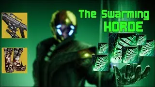 Swarming Horde Warlock | Destiny 2 Build