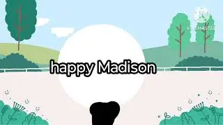 happy Madison cat runner