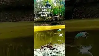 Colour Changing Soap Bubble on water with relaxing music 🎧 #shorts #relaxing #nature