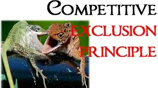 Competitive exclusion principle
