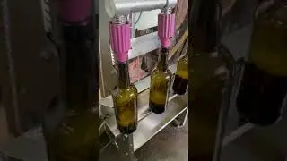 Wine production process in Douro region. Port wine. Wine makers work. Harvest season.