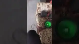 DAB 8