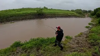 AVENTURA DE PESCA BAJO LA LLUVIA, Pesca de bagres grandes, exploración de arroyo y campo