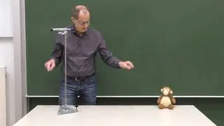 Tag 9: Wie man einen klugen Affen mit einem Wurfpfeil treffen kann  | Universit&auml;t Bremen