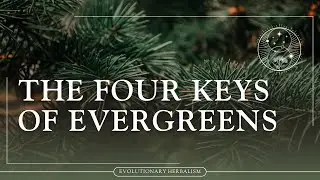 Evergreen Medicine: Tastes, Affinities, Actions & Energetics