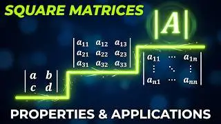Determinants of Square Matrices: Concepts, Properties, and Applications