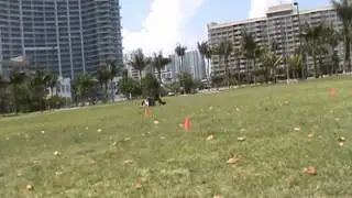 Dre Baldwin: NBA First Step Quickness | Change Direction Agility Training