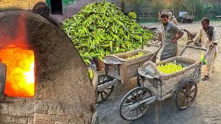 100 YEARS OLD METHOD! HOW THEY COOKING CORN IN COAL SAND | BAKING CORN IN SAND | STEAMED CORN RECIPE