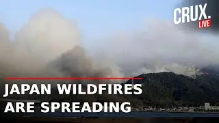 LIVE | Wildfires Scorch Over 460 Hectares In Japan, Mass Evacuations On As Firefighters Battle Blaze