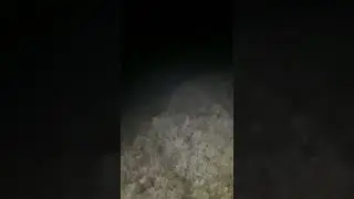 Winds | Mt. Pulag