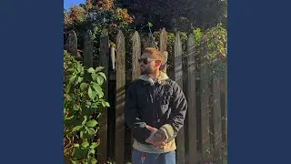 40 Barz