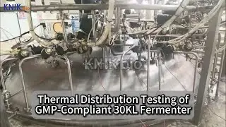 Ensuring Precision: GMP-Compliant 30KL Fermenter Thermal Distribution Validation | KNIKbio
