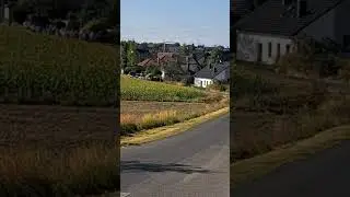Pielgrzymka 03.09.2025
