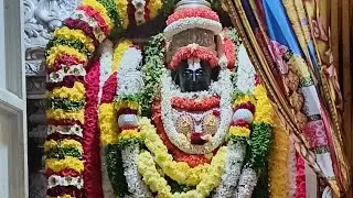 ವೈಕುಂಠ ಏಕಾದಶಿ vlogs #ತಿರುಪತಿ ತಿಮ್ಮಪ್ಪ#ವಿಡಿಯೋ #shailupuni 