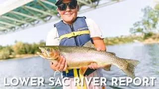 Lower Sac is on 🔥🔥 || River Report w/ Luke Geraty
