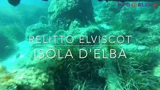 Relitto dell&rsquo;Elviscot - Isola d'Elba