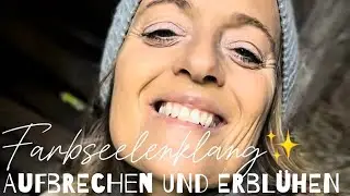 Zerbrechen und neu werden ✨