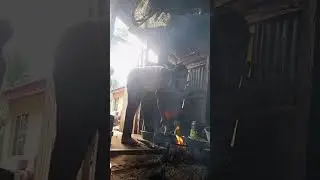 Village settings and lifestyle. #kitchen #villagevlog 
