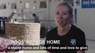 Subiaco Street Party 2019 - Dogs' Refuge Home of WA