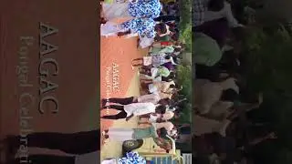 AAGAC , Namakkal 📍 #pongalcelebration #nkl #namakkal #shortsvideo #college #pongal #dance