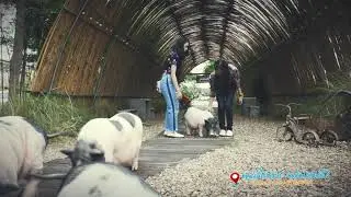 Fin farm แม่โจ้ เชียงใหม่