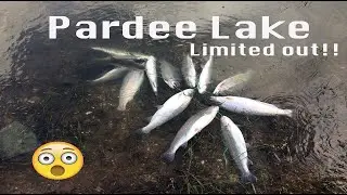 Pardee Lake Limited out! (Trout Fishing)