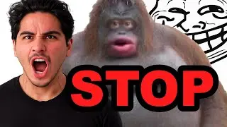 My Viewers Troll Me for 12 Straight Minutes.