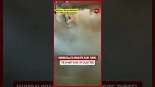 Mumbai Coastal Road Fire: Exact Moments When Car Caught Fire Inside Tunnel