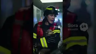 Emergency Rescue Saves Shelter Animals During a Violent Storm