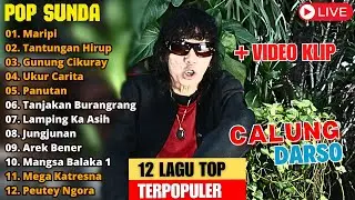 DARSO FULL ALBUM PILIHAN 12 LAGU TOP TERPOPULER 2024 - KUMPULAN ALBUM CALUNG SEPANJANG MASA