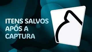 Itens salvos pela Selion ap&oacute;s a captura dos elementos