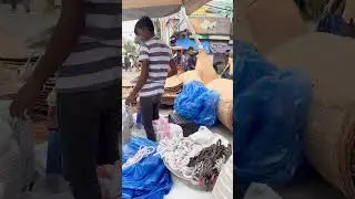 Temporary shop , animal’s food  and materials for Kurbani . Location Sector 12 circle, Uttara