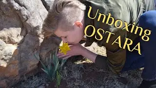 Ostara Unboxing MidnightMuses March 2023 Witchy Subscription Box
