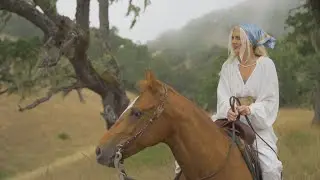 Casa Monte Negra - Original Music Video by The Whiskey Wasps