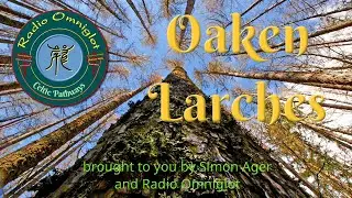 Celtic Pathways - Oaken Larches