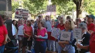 Dozens protest US immigration policies at Portman's office