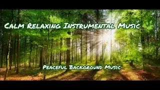 Calm Relaxing Instrumental Music 🌿 | Peaceful Background Music (No Vocals)