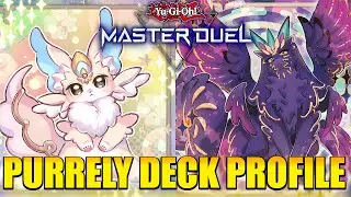 PURRELY DECK PROFILE | POST GALACTIC EVOLUTION | Yu-Gi-Oh! Master Duel