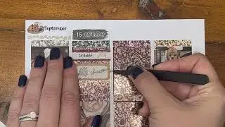 Plan With Me: September 15 - 18, 2025 ft. @plannerpixieco Autumn Mood w @plannahannah foil